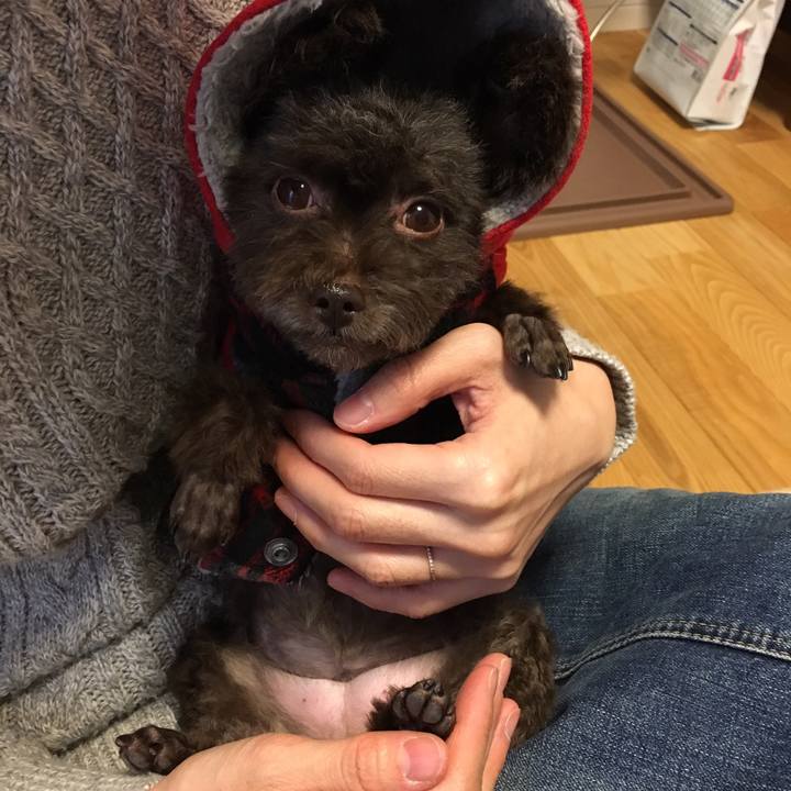 Fdf48d9e 4ae8 4861 be55 c327dcfa7bb4