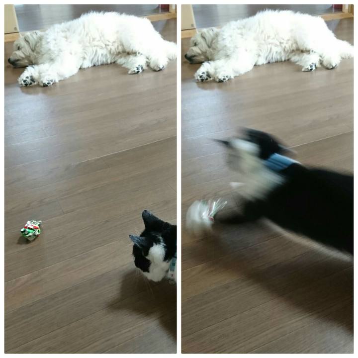 Fdf4f499 637c 4df7 b0b4 6aedd6dd2f1b