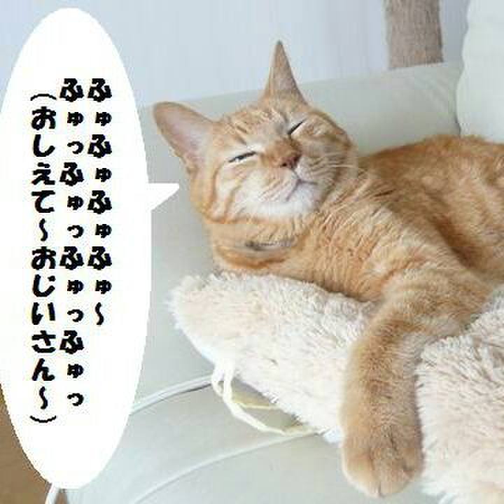 Fdf52b9e 89fc 461f ad7a 1ed910cb76df