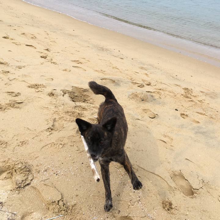 Fdf5d7c5 9caa 4b8a 91fc bfabbe553216