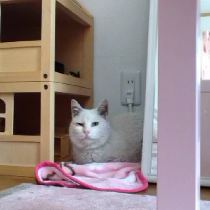 Fdf62a3e bb10 43ba 8469 462ef20f62b7