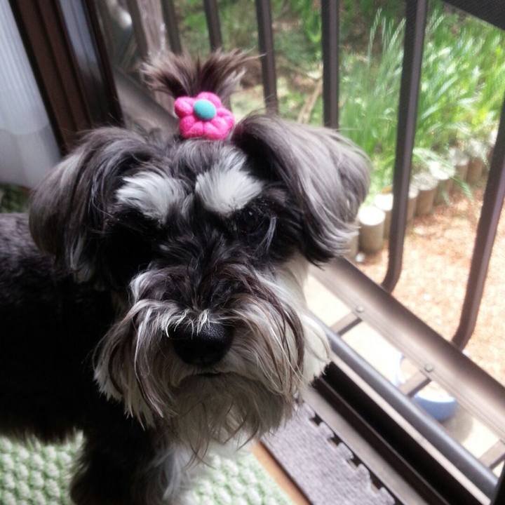 Fdf65aeb fb04 4a36 b6ec 38bbcad98799