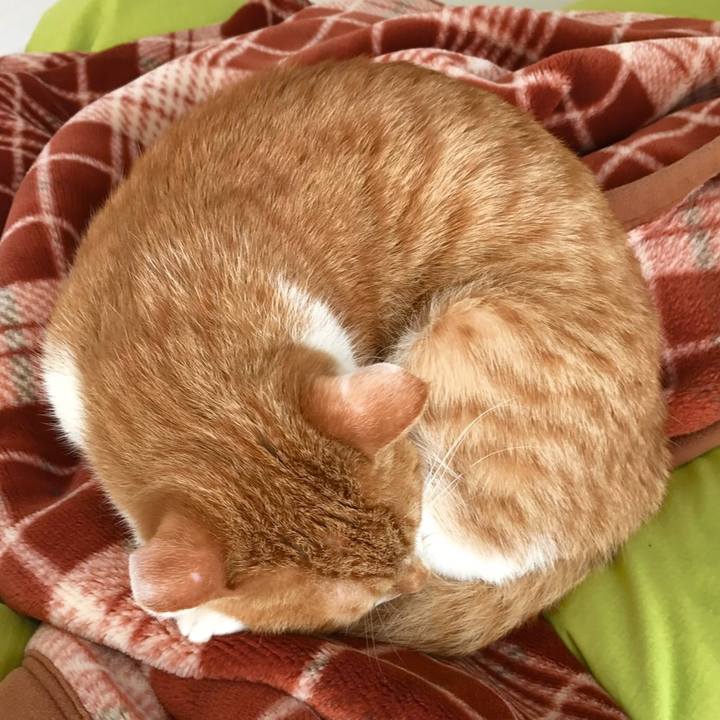 Fdf67bd4 0ee6 4072 957a 7a89ea6532d4