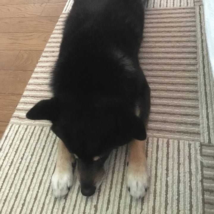 Fdf6dc39 c4d7 4293 9f23 b4bc890b9f53