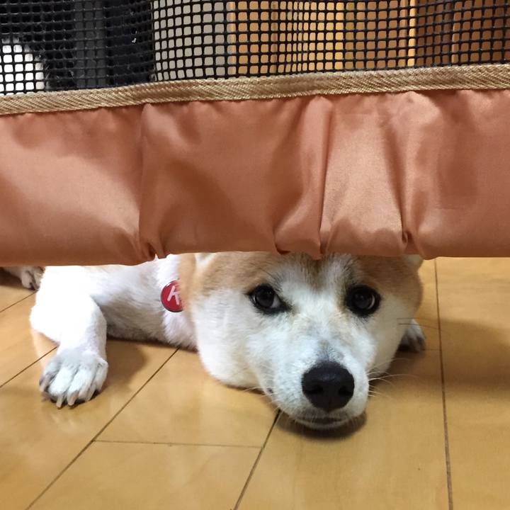 Fdf6fa4f 623f 4af1 b75d b891c411de9d