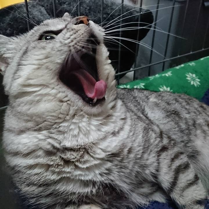 Fdf72918 1b7a 426f a311 b5362b70bf1e