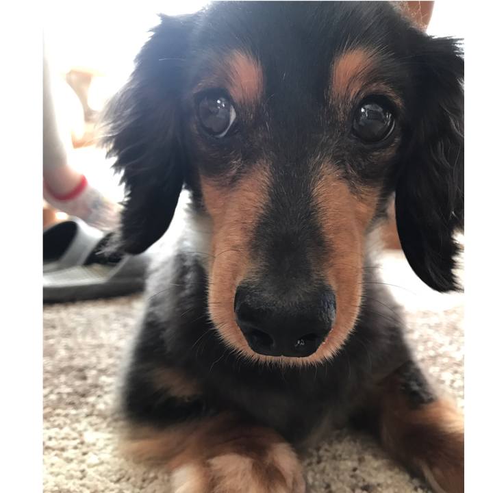 Fdf7d017 37dd 4e22 8b0d a8fa0939129e