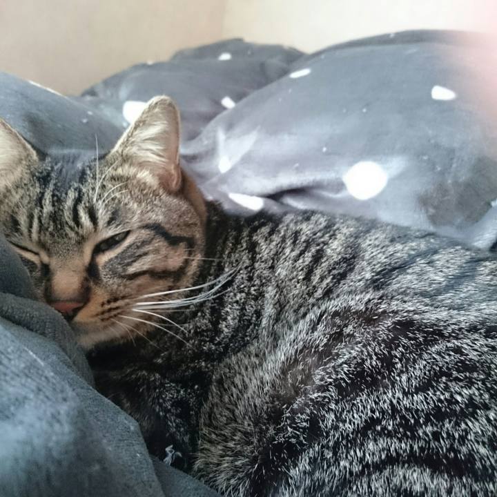 Fdf7db33 0688 46df 9dee d03928b06a39