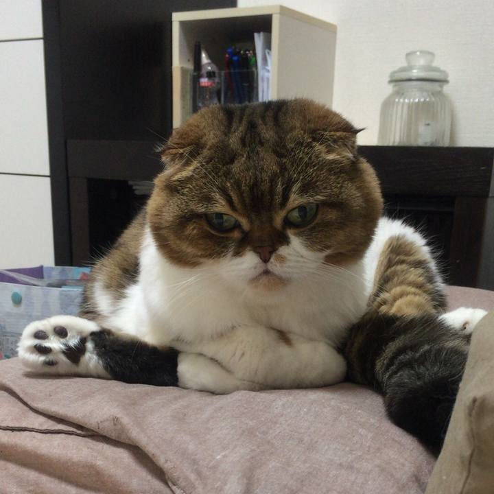 Fdf7f3f3 b2ad 49e2 a8cc 4eedd13d09d3