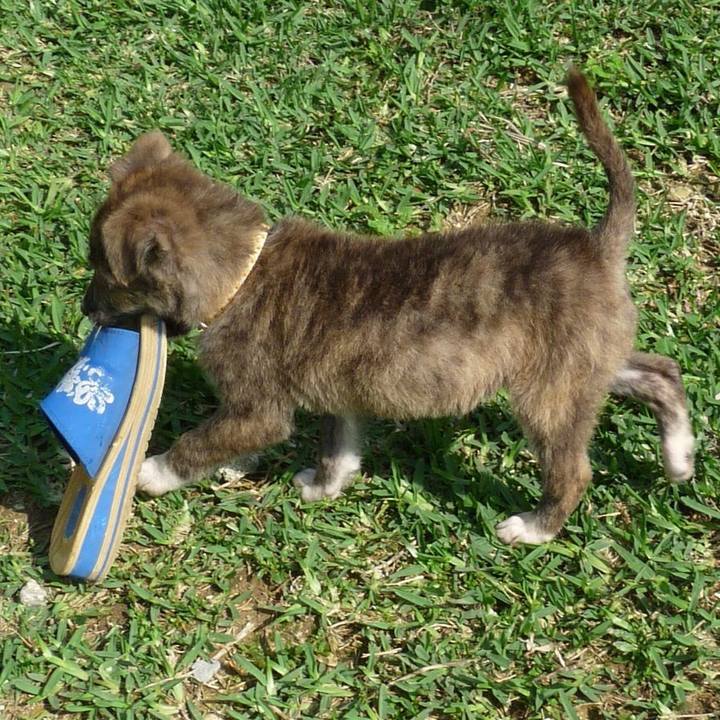 Fdfa1eda 4cd4 43bd 8058 408d734a109a