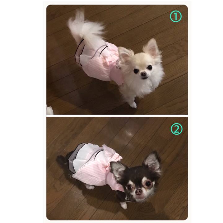 Fdfa2bab 6792 4f4c 89b7 c96660352426