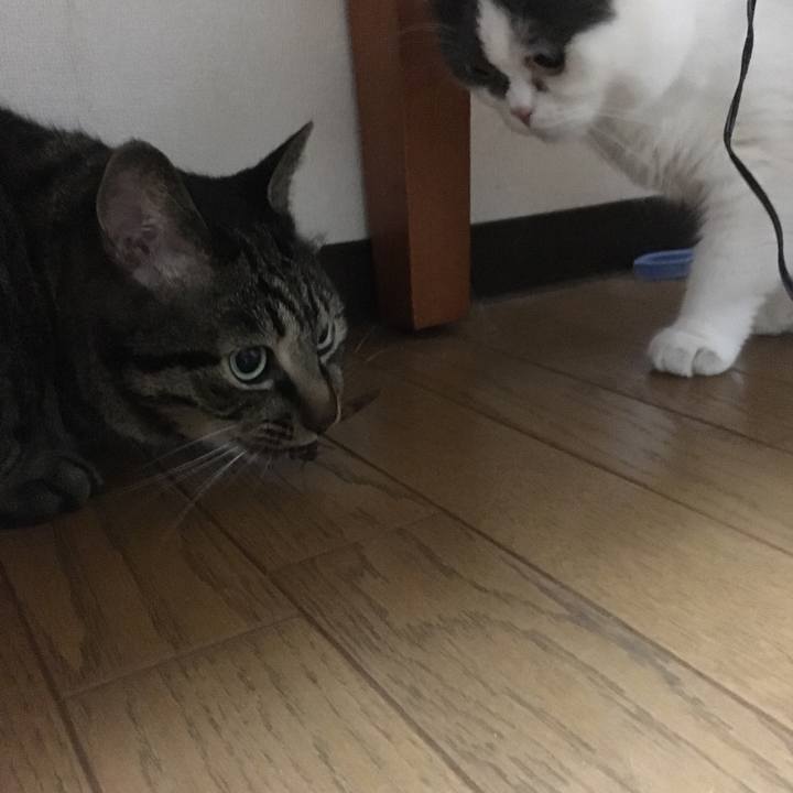 Fdfa9268 d624 4bcf 8785 37e3a729df72