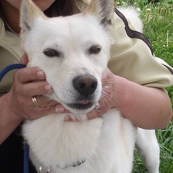 Fdfb03ae e62a 46c9 9af9 3d567d6d5ce5