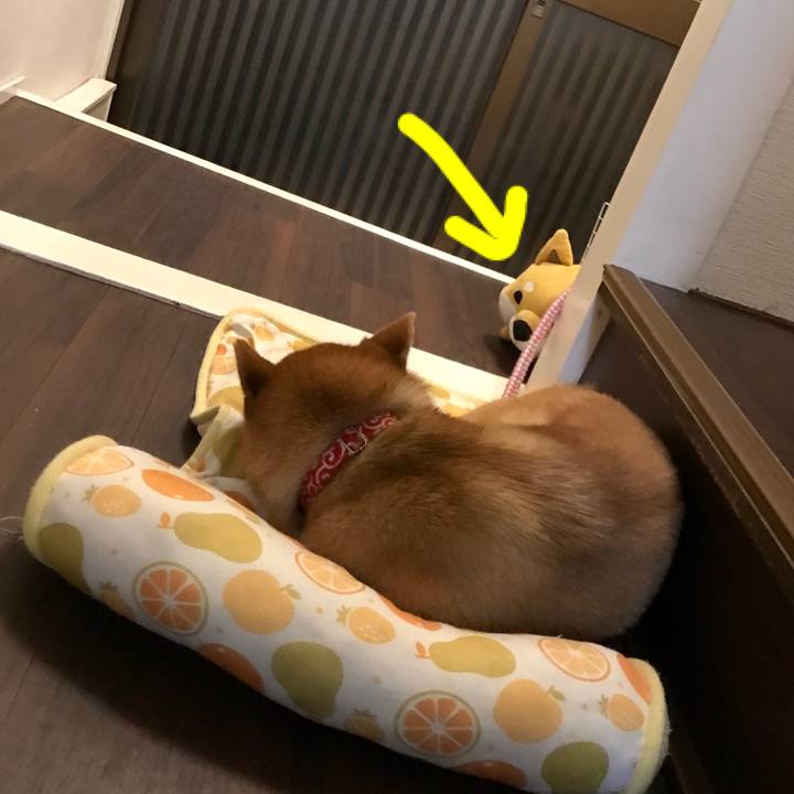 Fdfb7815 9af8 4f4a 98da 20385c5e8e0b