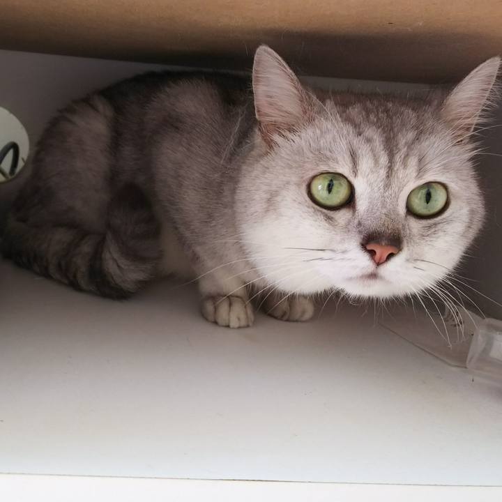 Fdfc079f 4a50 4806 8324 70c47399fa08