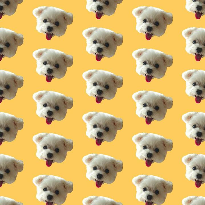 Fdfc277b 6431 49a3 83c4 29d8cb2170ff