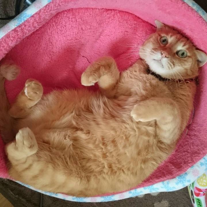 Fdfc6c38 e40d 45ff bd89 7da4c88aa86b