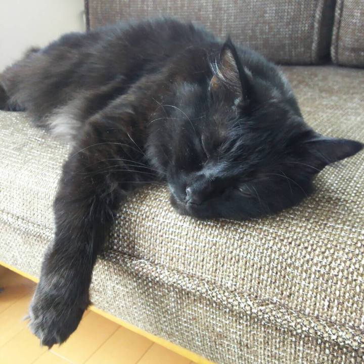 Fdfc9bd0 6eeb 4a50 a8bf 724fbaabf2e4