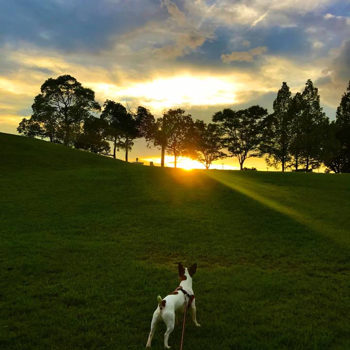 Fdfca9d6 86be 4efa 9f09 d493b48d233b