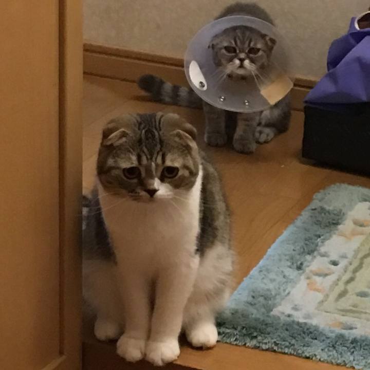 Fdfcd10f 3c68 4222 9106 432648438c07