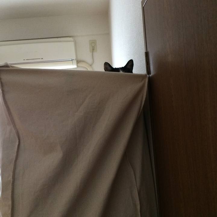 Fdfd2168 4f38 4b60 baa8 579f7fa0c9cd