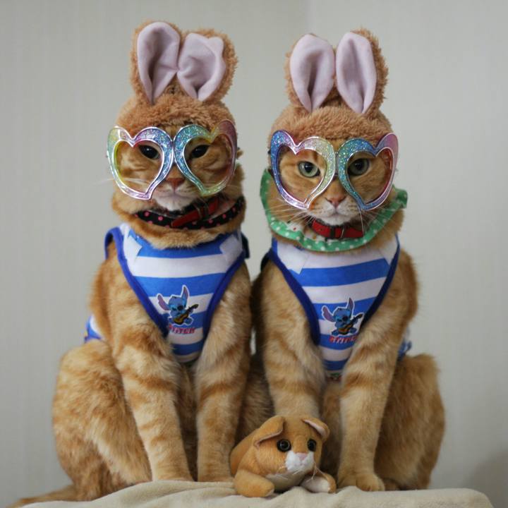 Fdfe0f5a 43b3 4b4f a8fd 9d74c81c8b44