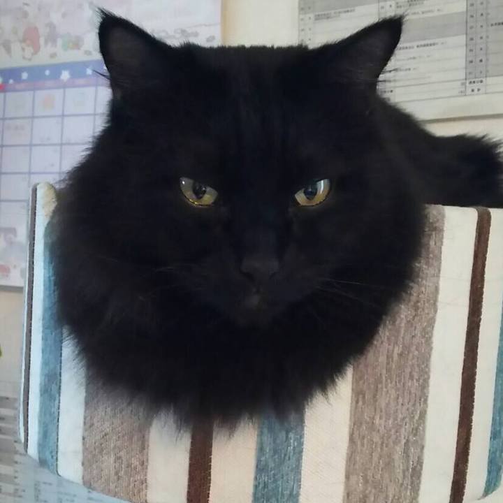 Fdfed6fa ef42 4b7b 9cab 03b9dbb5153d