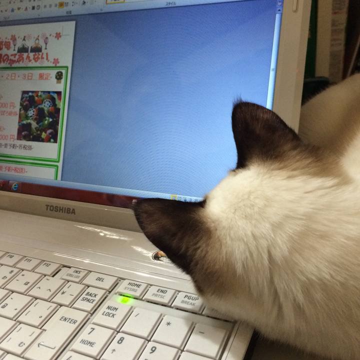 Fe00059e 3b84 4792 9a12 dc302cdfa46e