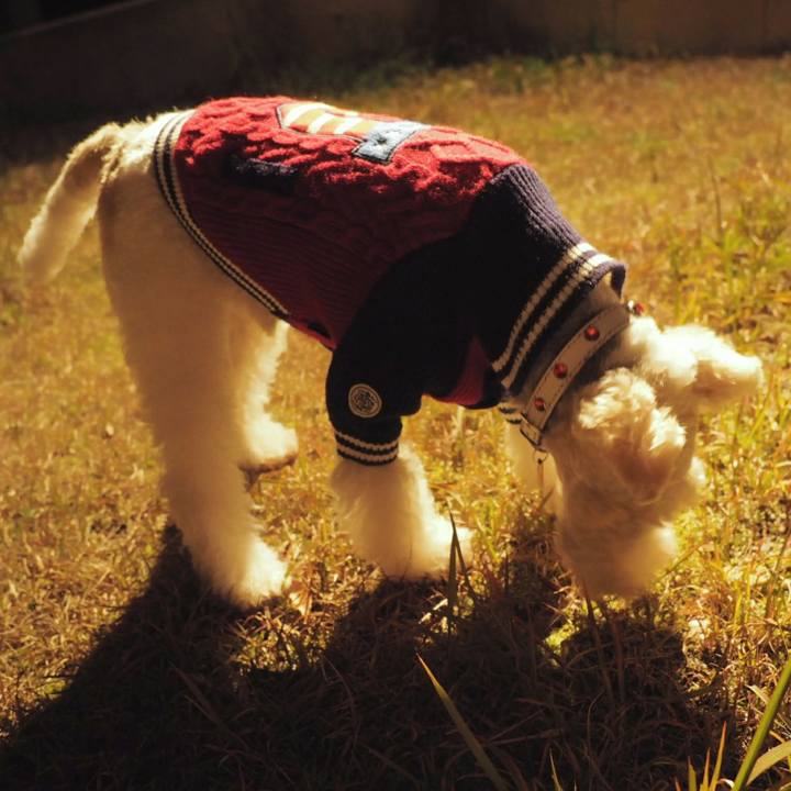 Fe00e880 2dc7 4d26 8c09 df422eba5aeb