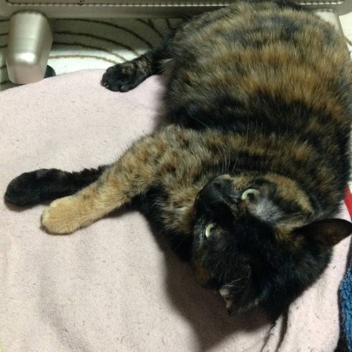 Fe00e9b0 5fc0 483c b9dd 23156e7d858d