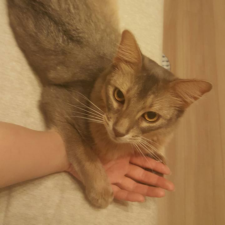 Fe011e2b e300 4bac b459 b51b3dc17955