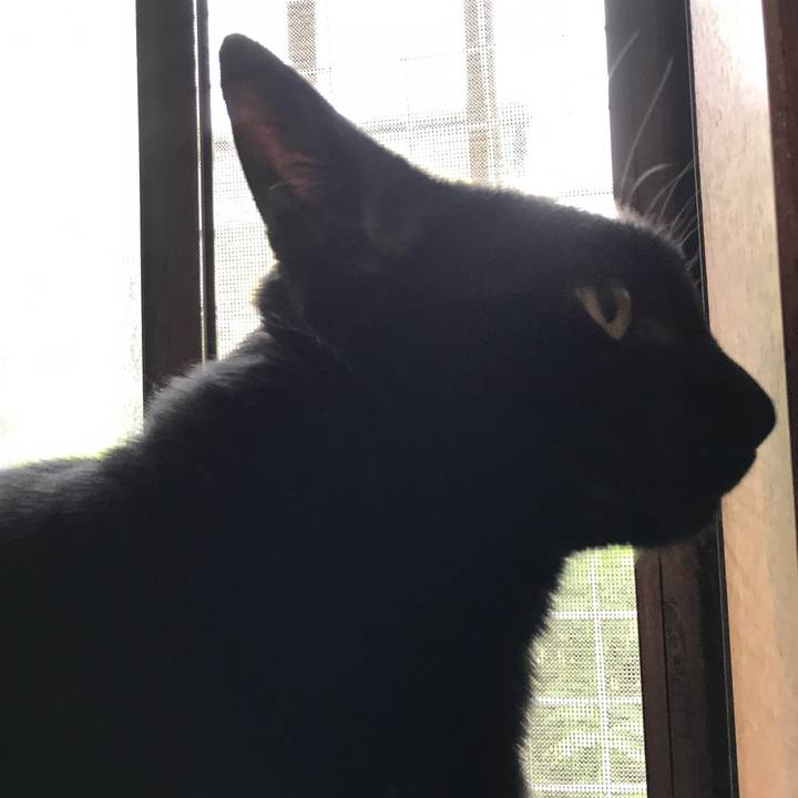 Fe016c9c c437 4c05 ad41 9fce176d216c