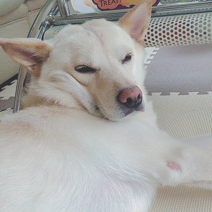 Fe017ff1 0721 4e52 9298 8e439400f87b