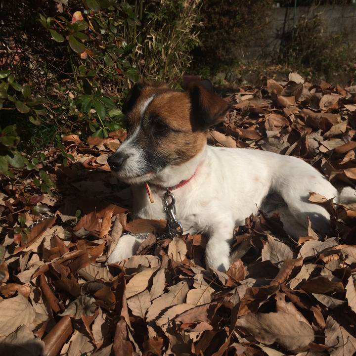 Fe01e0d3 be70 428c a334 355459f5ce04