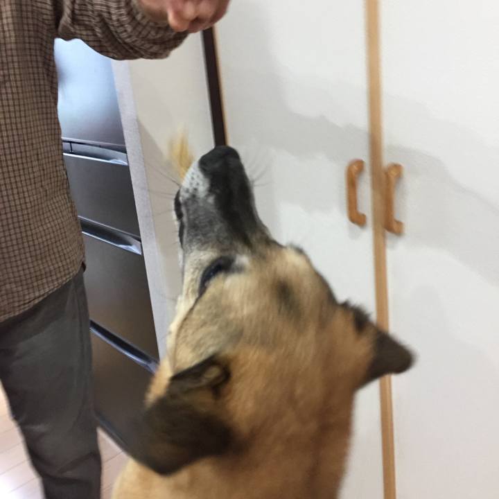 Fe0244db b611 44d4 a4a3 196da43a2d6f