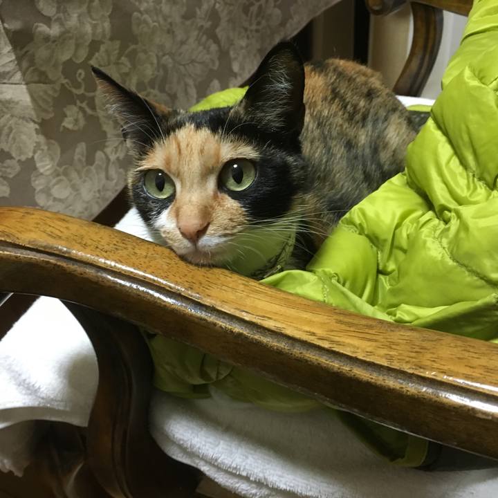 Fe026a9e 43c8 410d bf92 5a5a2f1ee726