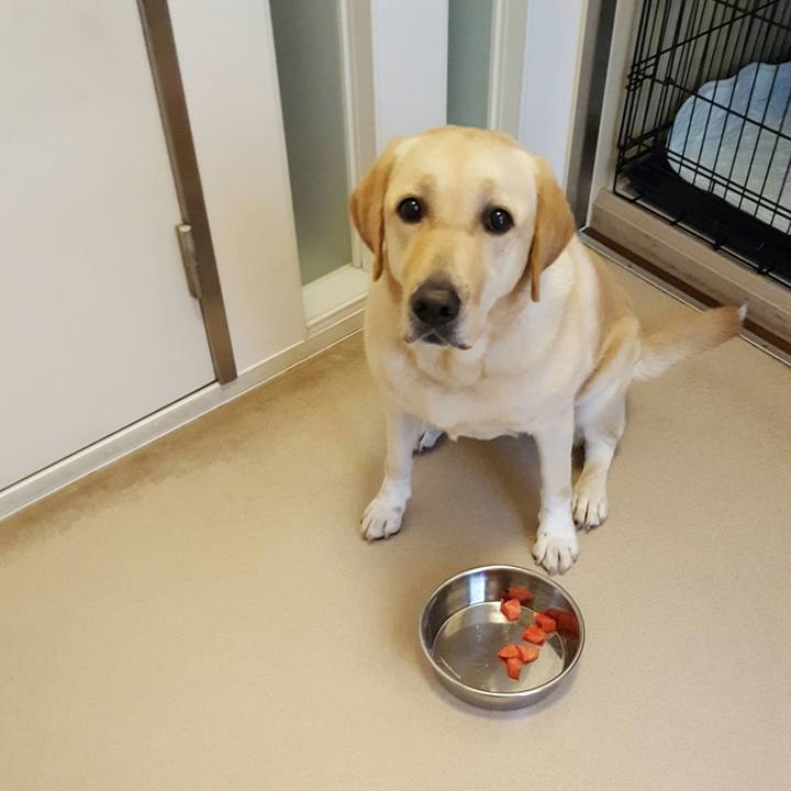 Fe02b89e 31ba 4b7c 8d16 2822cccc8866