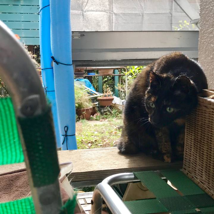 Fe0308d6 f695 4d19 b2d9 6bbc19bf5fdf