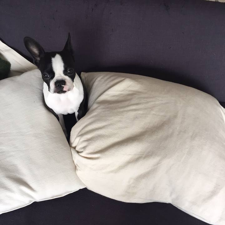 Fe039577 3a7a 47ce a156 e2a330bddaaa