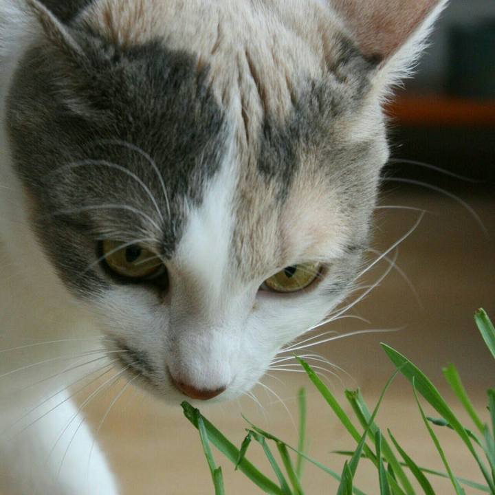 Fe057867 8dde 436f b855 b90c25a5a3f4