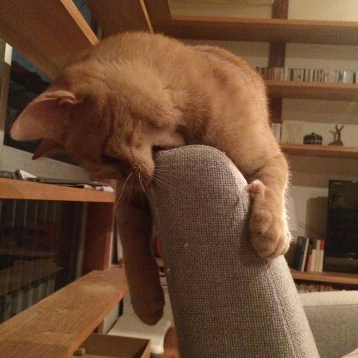 Fe05cf0b 6bea 4fb0 902c d524d458ea65