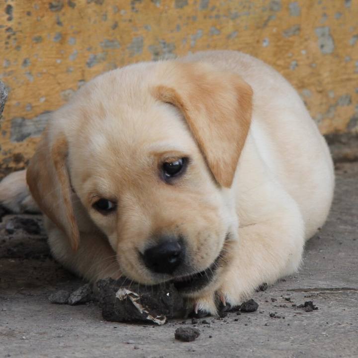 Fe05e237 ec7f 413d 8c78 867ee60486e3