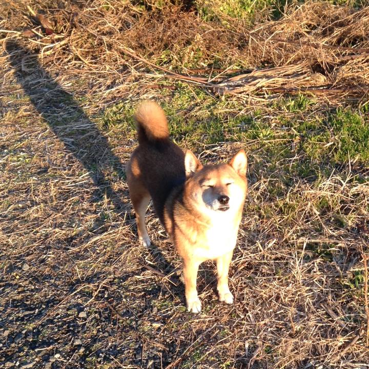 Fe05e8b3 23c1 4e32 9c69 a1ca661b705b