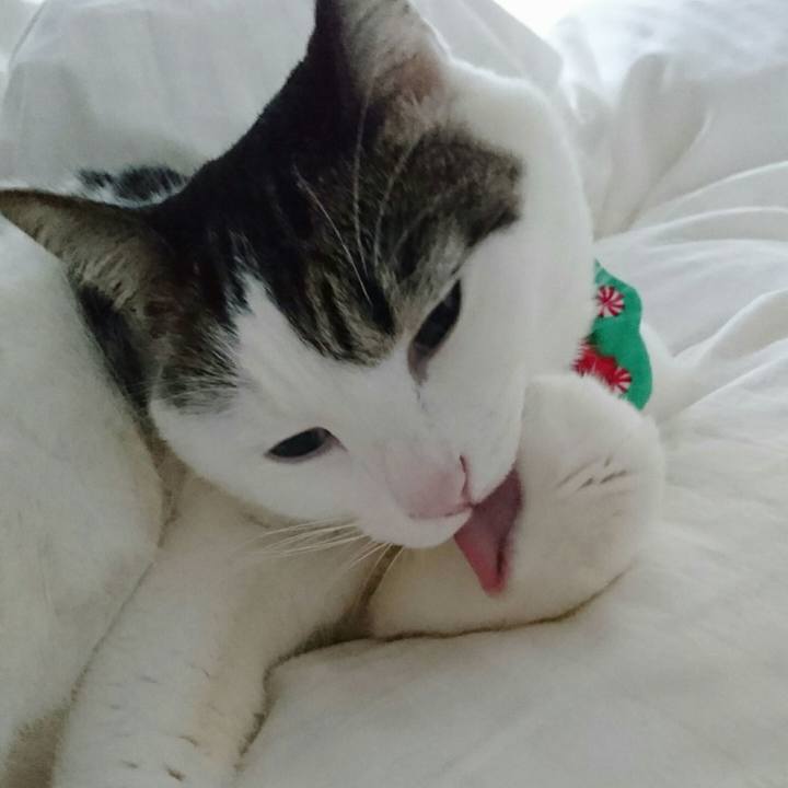 Fe0649d0 5f81 462a 97c6 5daa33b4bd5c