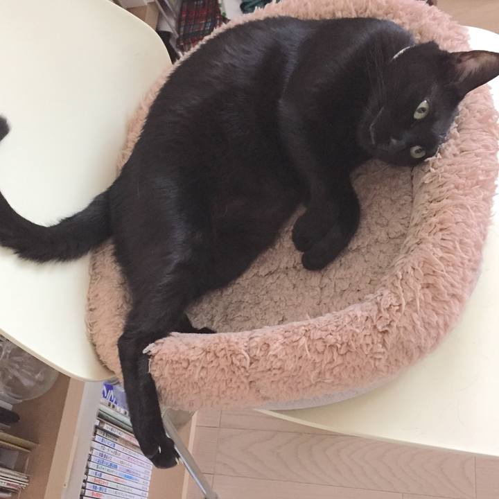 Fe065b0d 9f2b 472d 8af2 655b03d1083a