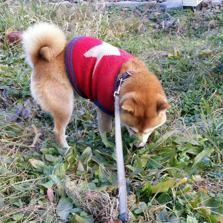 Fe06873a e514 41e2 bd62 1a56ad7bfc74