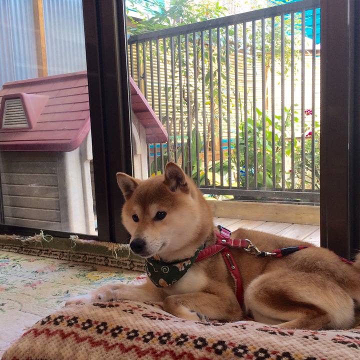 Fe06c49e 0bbc 49ff 8f5a 97e48afec2b1