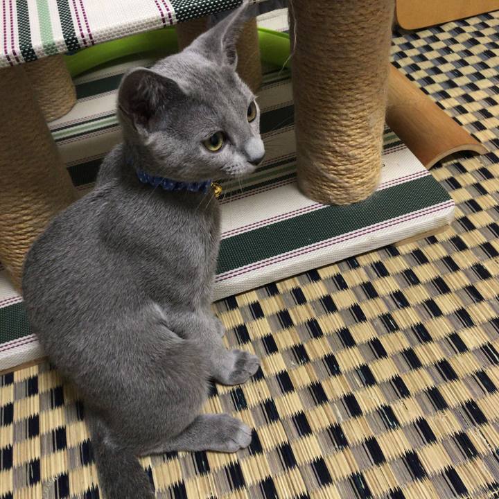 Fe071832 4a6a 41ee b014 32fca9d151cf