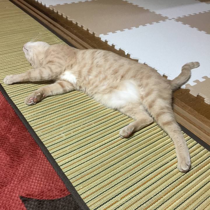 Fe078fdf 0f5a 43c4 9c74 3f618fd284f0