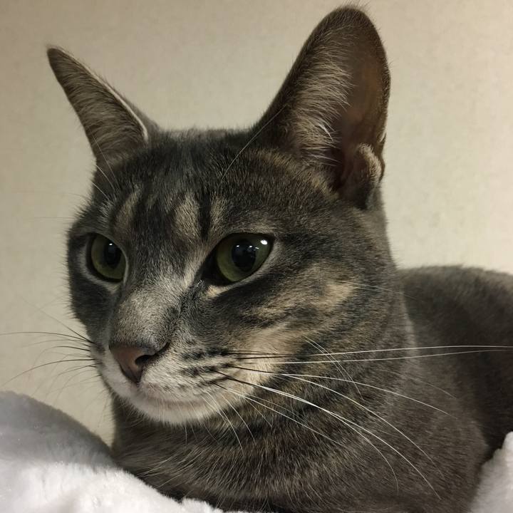 Fe07e1bd bf93 4de2 ac30 0c4b99eb3333